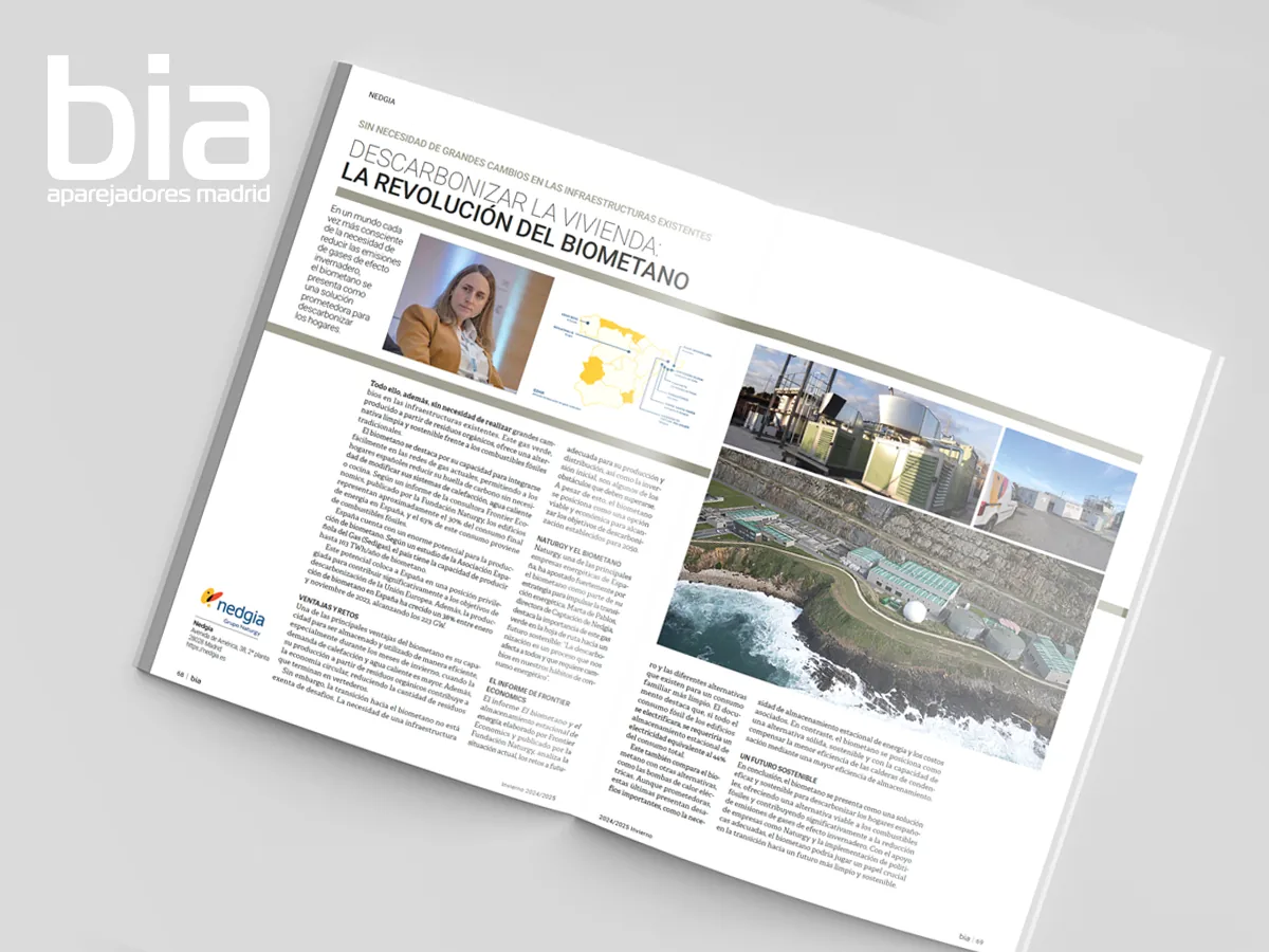 Revista Bia - Ficha doble página